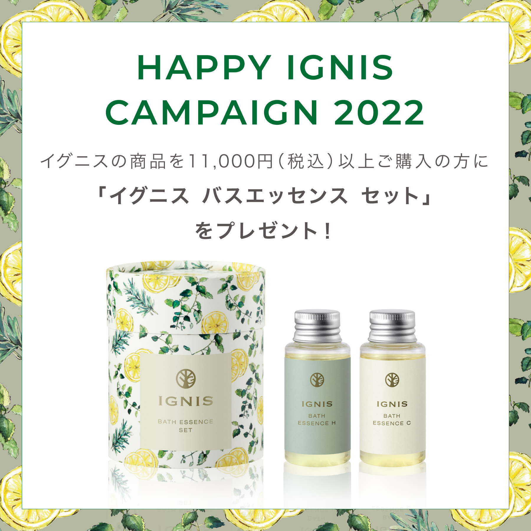 ベストコスメ受賞 Ignis Io イグニス イオ 公式サイト